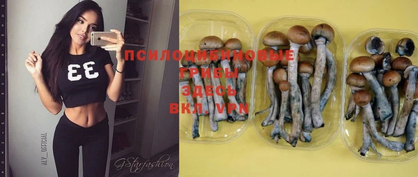 спайс Новозыбков