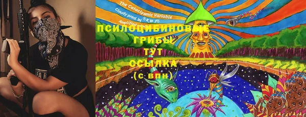 спайс Новозыбков