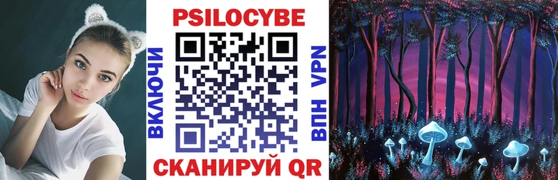 Псилоцибиновые грибы прущие грибы Удомля