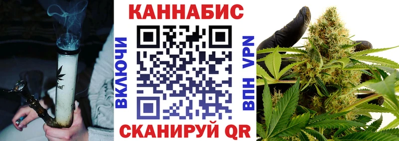 Каннабис гибрид  Удомля 